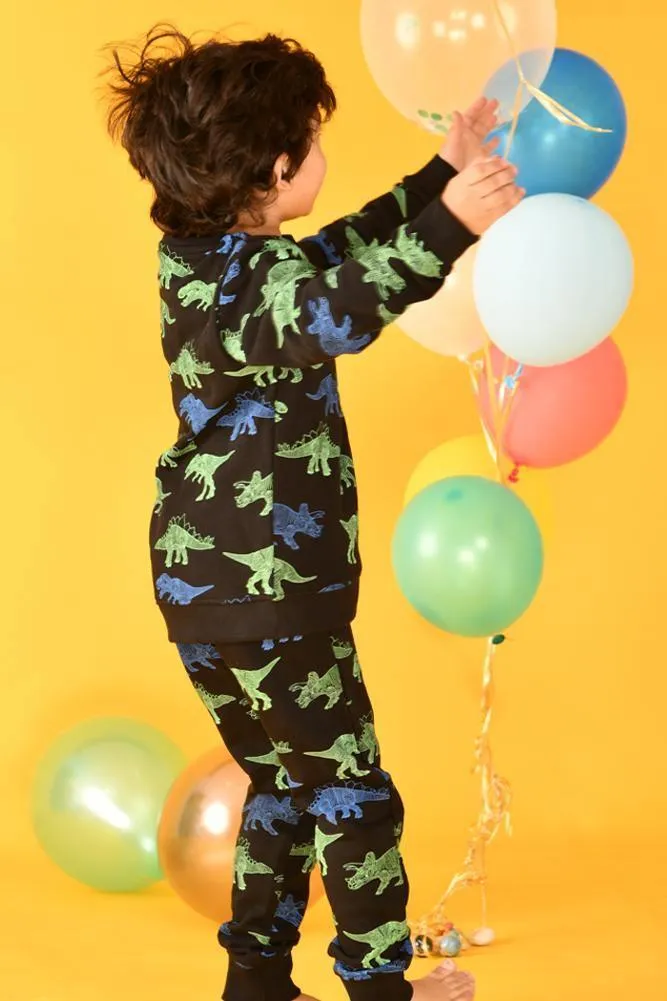 DINOSAUR BOYS BLACK SWEATSHIRT (FLEECE)