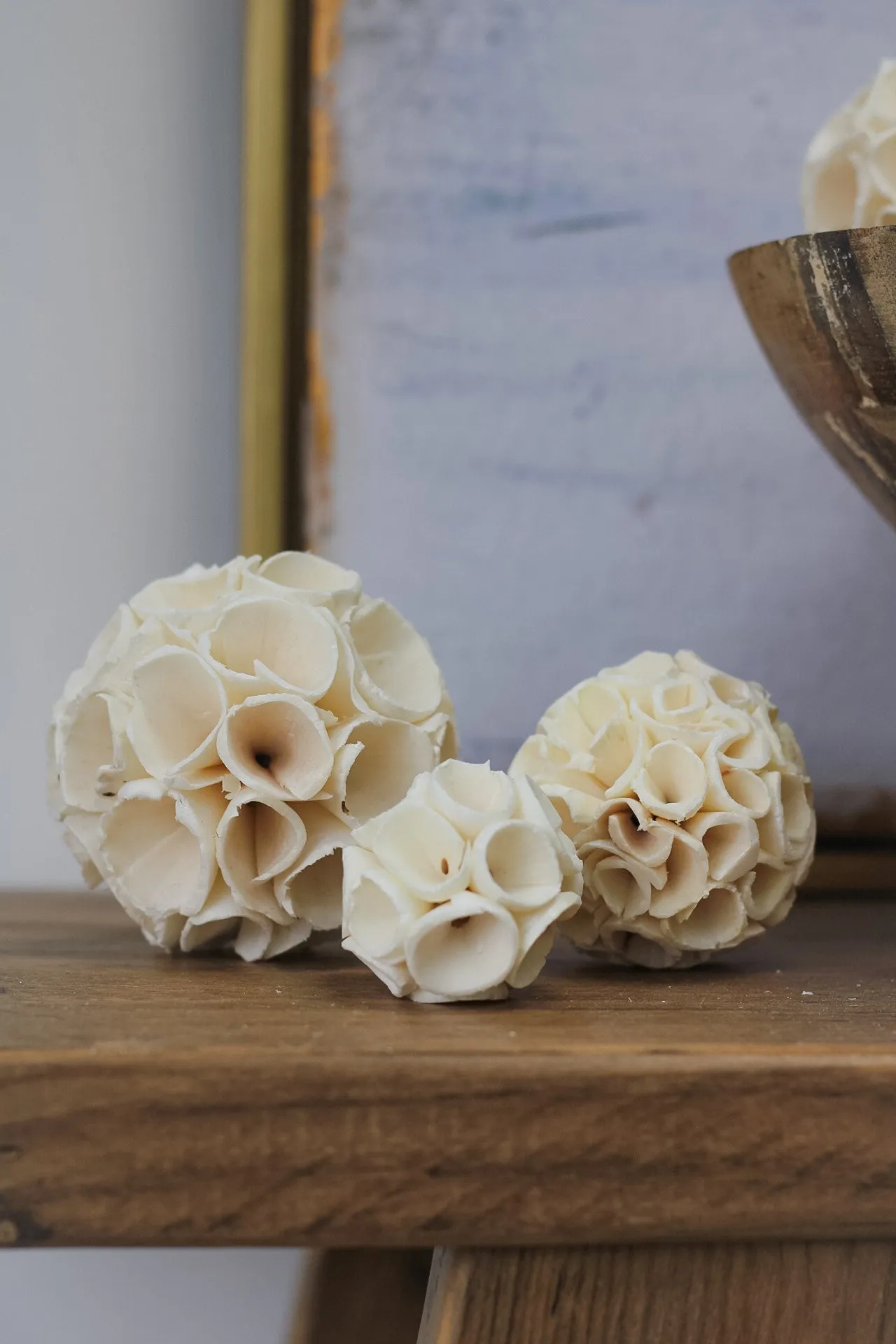 Dried Fleur Decorative Balls