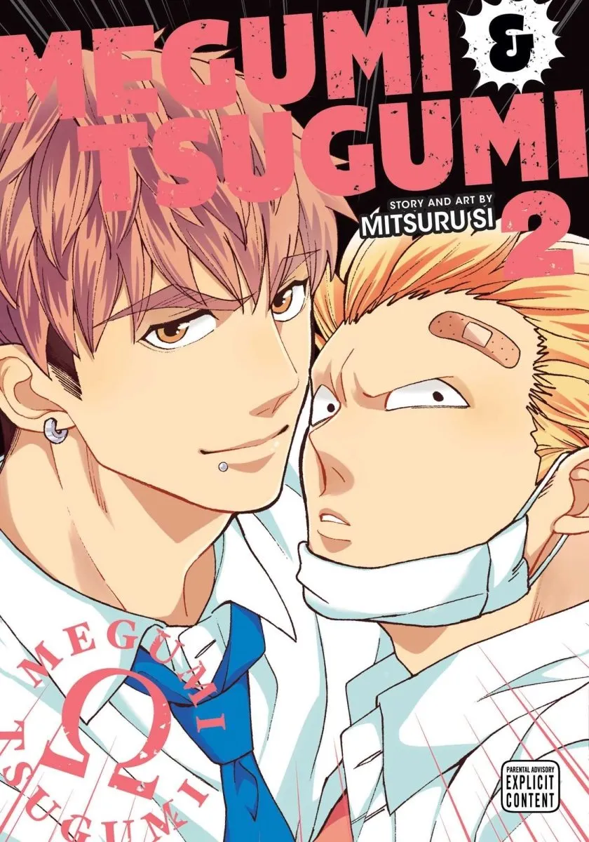 Megumi & Tsugumi GN Vol 02