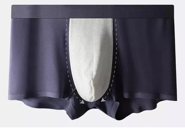 Men's Ice Silk Briefs Boxers (Buy 1 Get 2 Free)